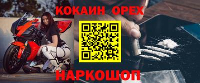 гашик Вышний Волочёк