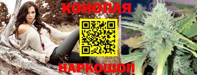 гашик Вышний Волочёк