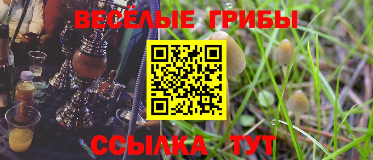 Псилоцибиновые грибы Cubensis  Галлюциногенные грибы Magic Shrooms  купить наркотик  Ипатово  Вход с VPN 